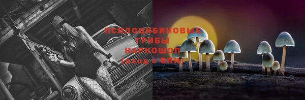 индика Красноперекопск