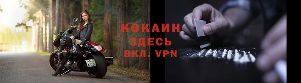 индика Красноперекопск