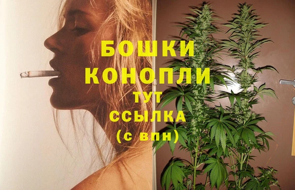 индика Красноперекопск